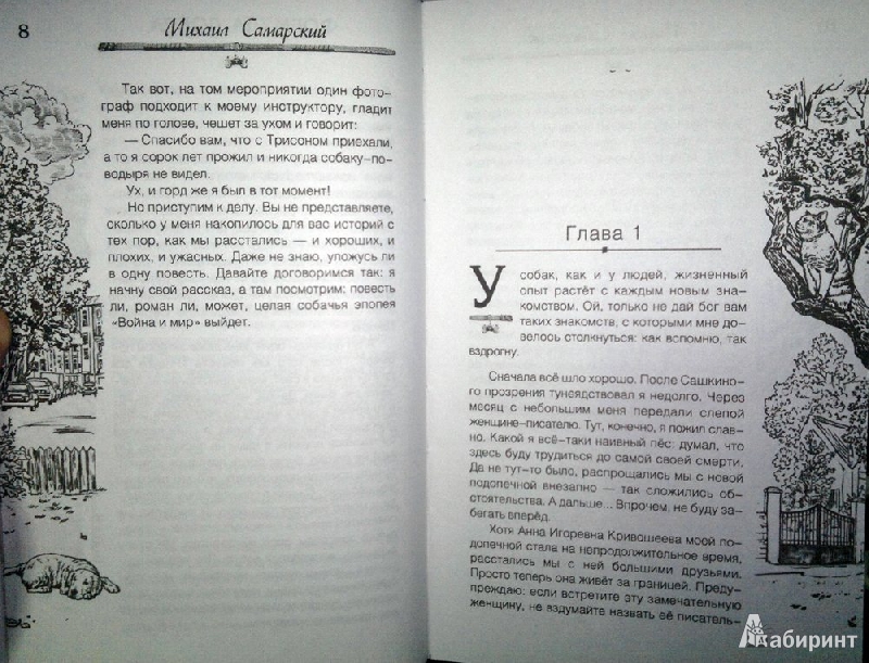 Иллюстрация 6 из 13 для Формула добра - Михаил Самарский | Лабиринт - книги. Источник: Леонид Сергеев