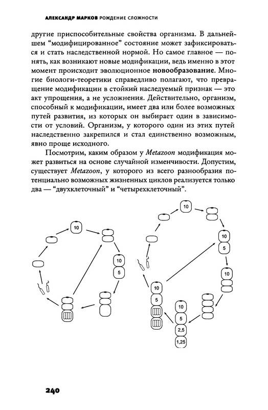 Иллюстрация 30 из 42 для Рождение сложности. Эволюционная биология сегодня. Неожиданные открытия и новые вопросы - Александр Марков | Лабиринт - книги. Источник: Ялина