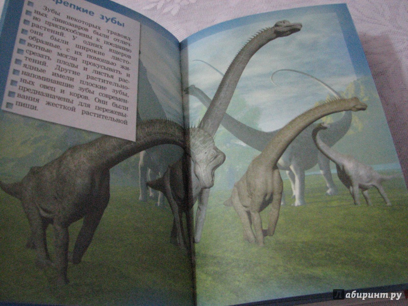 Иллюстрация 19 из 28 для Все самое интересное о динозаврах в одной книге - Ригарович, Хомич | Лабиринт - книги. Источник: Асеева  Мария Алексеевна
