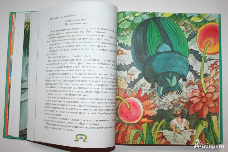 Иллюстрация 13 из 86 для Необыкновенные приключения Карика и Вали - Ян Ларри | Лабиринт - книги. Источник: Попова  Анна