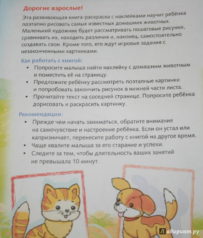Иллюстрация 3 из 29 для Домашние животные. Дорисуй и раскрась | Лабиринт - книги. Источник: Остапчук  Дарья
