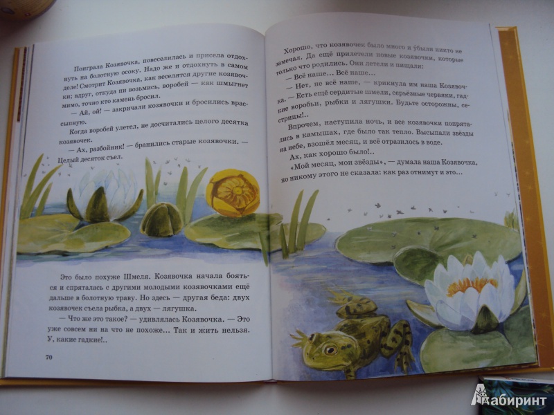 Иллюстрация 47 из 51 для Лягушка-путешественница | Лабиринт - книги. Источник: л.и.