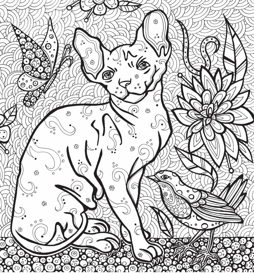 Иллюстрация 30 из 37 для Раскраска-антистресс "Загадочные кошки" | Лабиринт - книги. Источник: Лабиринт