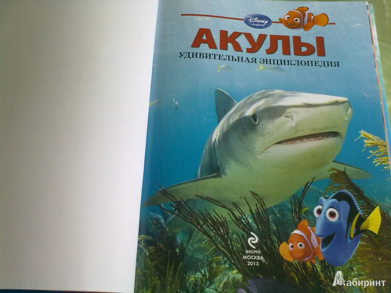Иллюстрация 20 из 40 для Акулы | Лабиринт - книги. Источник: Лёля