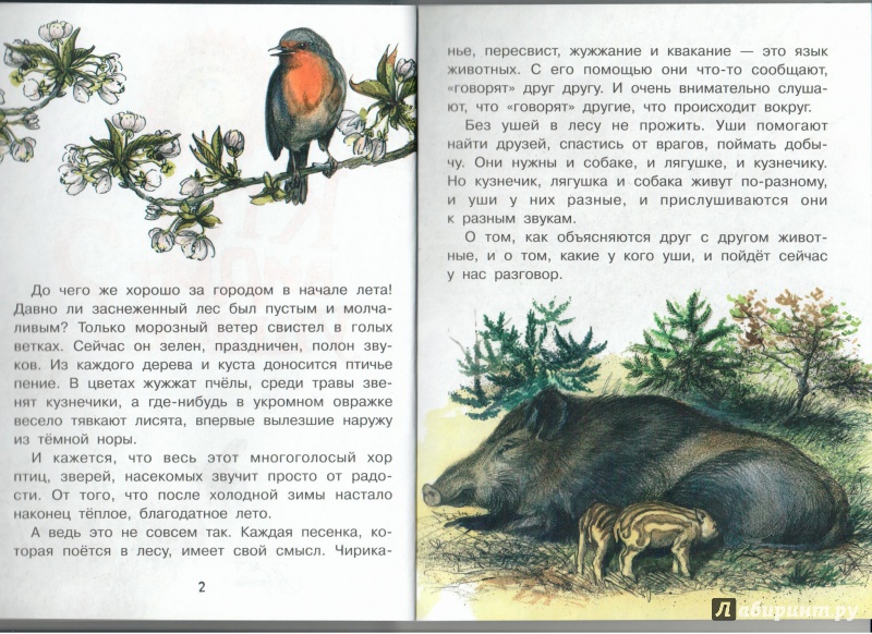 Иллюстрация 6 из 26 для Кто видит ушами? - Виталий Танасийчук | Лабиринт - книги. Источник: Книжный кот