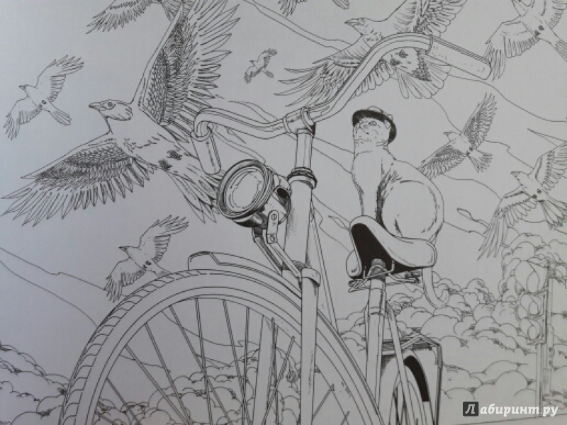 Иллюстрация 52 из 88 для Вокруг света на велосипеде. Раскраска-путешествие на край земли - Дзян Шань | Лабиринт - книги. Источник: Ирина Потемкина