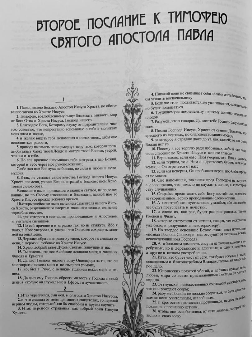 Иллюстрация 56 из 88 для Библия. Книги Священного Писания Ветхого и Нового Заветов | Лабиринт - книги. Источник: Розочка