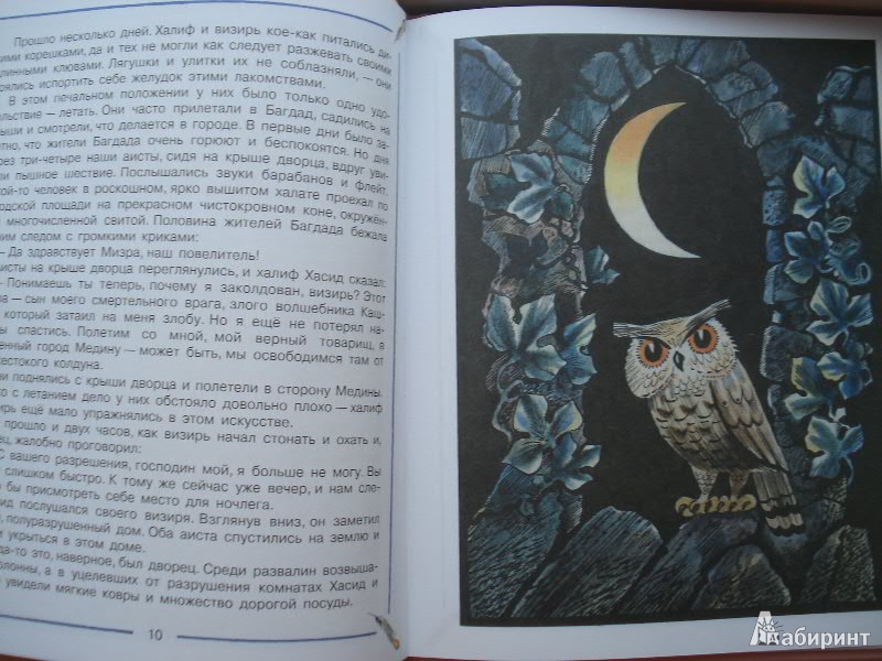 Иллюстрация 5 из 26 для Сказки - Вильгельм Гауф | Лабиринт - книги. Источник: Lubochka