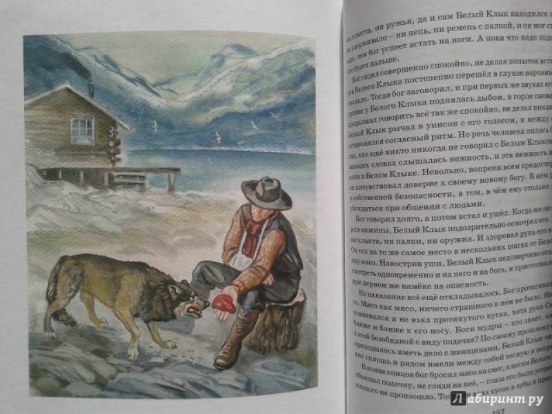 Иллюстрация 39 из 44 для Белый Клык - Джек Лондон | Лабиринт - книги. Источник: Осадчук  Елена