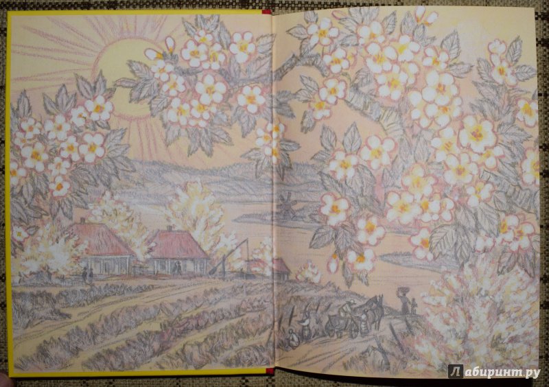 Иллюстрация 22 из 40 для Сказки из одной связки. Молдавские народные сказки | Лабиринт - книги. Источник: welll