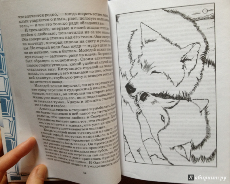 Иллюстрация 19 из 20 для Белое безмолвие - Джек Лондон | Лабиринт - книги. Источник: Tutti  Frutti