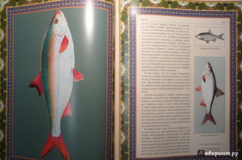 Иллюстрация 4 из 8 для Русская рыбалка | Лабиринт - книги. Источник: Елизовета Савинова