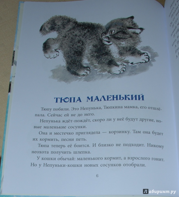 Сказки е и чарушина читать. Рассказы Чарушина о животных.
