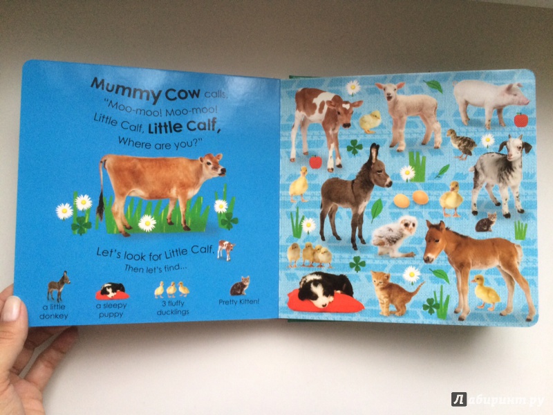 Иллюстрация 5 из 16 для Baby Animals. Little Hide and Seek | Лабиринт - книги. Источник: Попова  Анна