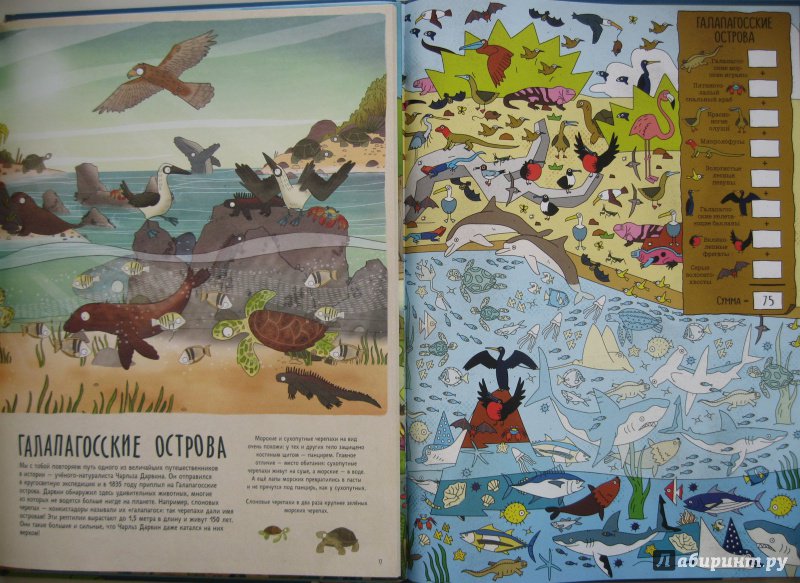 Иллюстрация 19 из 34 для Большая книга животных | Лабиринт - книги. Источник: Воробьев  Владимир