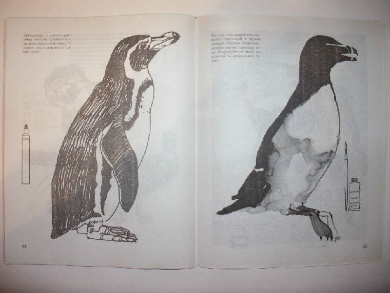 Иллюстрация 18 из 27 для Учитесь рисовать птиц - Дэвид Браун | Лабиринт - книги. Источник: Tiger.