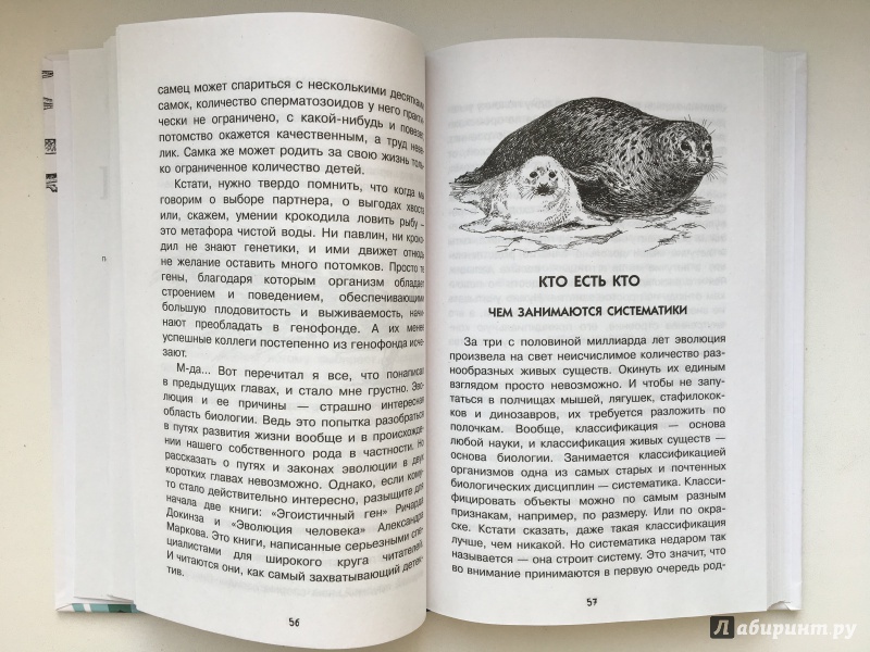 Иллюстрация 14 из 29 для Нескучная биология - Алексей Целлариус | Лабиринт - книги. Источник: Лабиринт