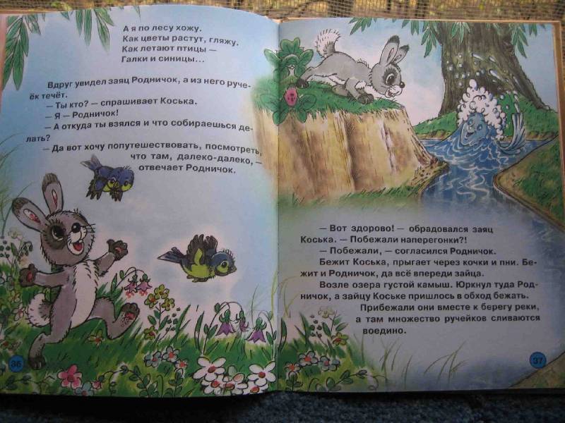 Иллюстрация 14 из 16 для "Крошка енот" и другие истории | Лабиринт - книги. Источник: Трухина Ирина