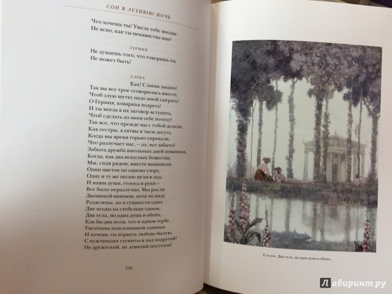 Иллюстрация 40 из 48 для Сон в летнюю ночь. Двенадцатая ночь - Уильям Шекспир | Лабиринт - книги. Источник: pavko