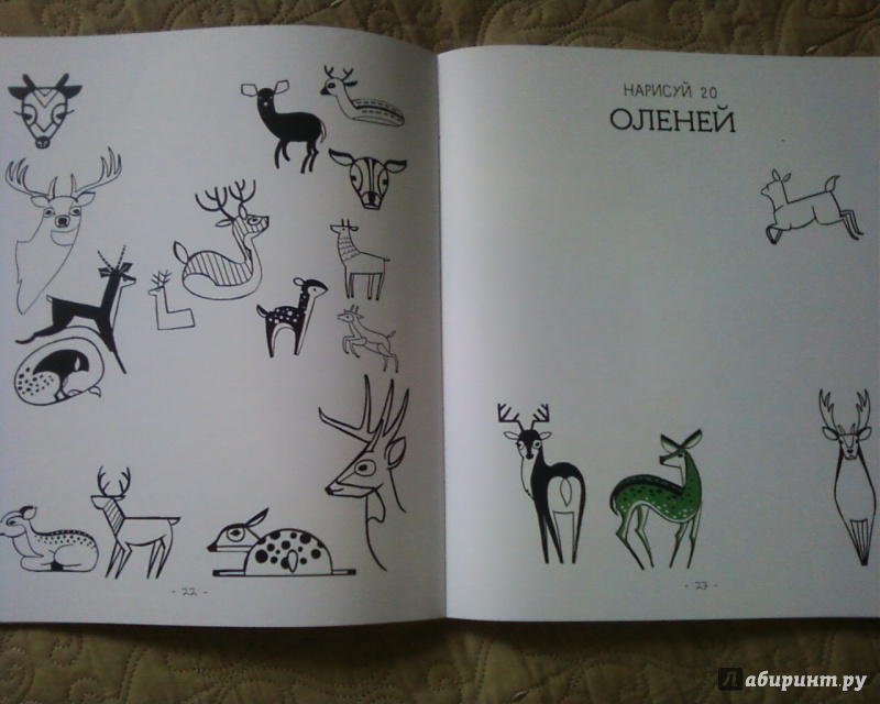 Иллюстрация 20 из 31 для 20 способов нарисовать кошку и 44 других удивительных животных - Джулия Куо | Лабиринт - книги. Источник: Родионова  Надежда