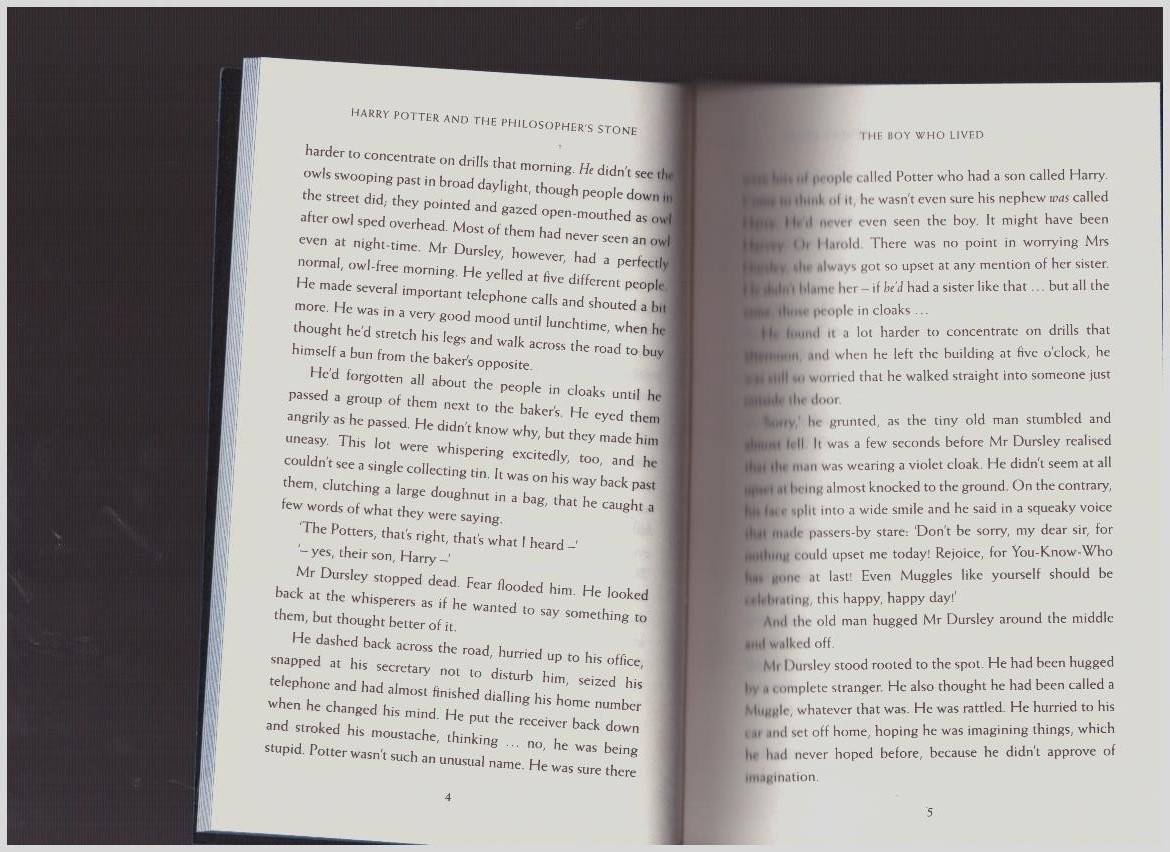 Иллюстрация 23 из 28 для Harry Potter and the Philosopher's Stone - Ravenclaw House Edition - Joanne Rowling | Лабиринт - книги. Источник: LanaEr