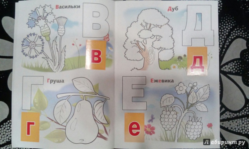 Иллюстрация 20 из 22 для Азбука с наклейками "Растения, овощи и фрукты" | Лабиринт - книги. Источник: Матвейчук  Наталья Валерьевна