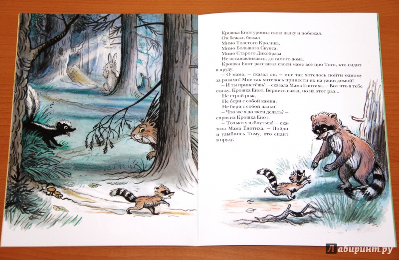 Иллюстрация 74 из 97 для Крошка Енот и тот, кто сидит в пруду - Лилиан Муур | Лабиринт - книги. Источник: Tatiana_Ru