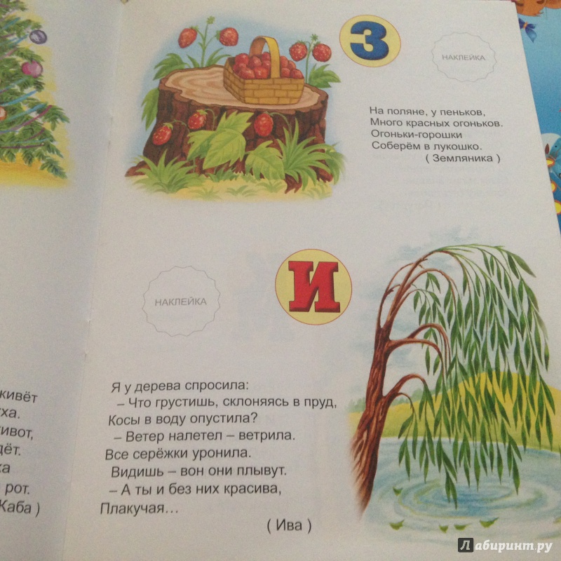 Иллюстрация 21 из 26 для Алфавитная семья с наклейками - Н. Притулина | Лабиринт - книги. Источник: Lena Zakirova