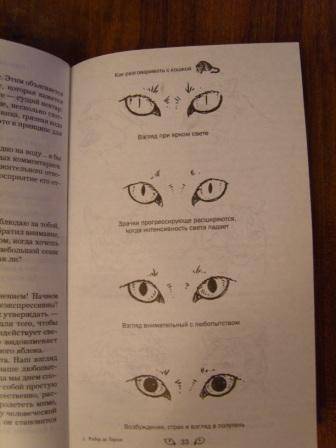 Иллюстрация 1 из 7 для Как разговаривать с кошкой? - Ларош Де | Лабиринт - книги. Источник: ZOK