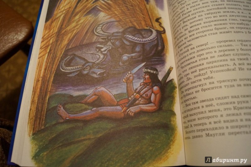 Иллюстрация 57 из 64 для Маугли - Редьярд Киплинг | Лабиринт - книги. Источник: Тухкина  Евгения