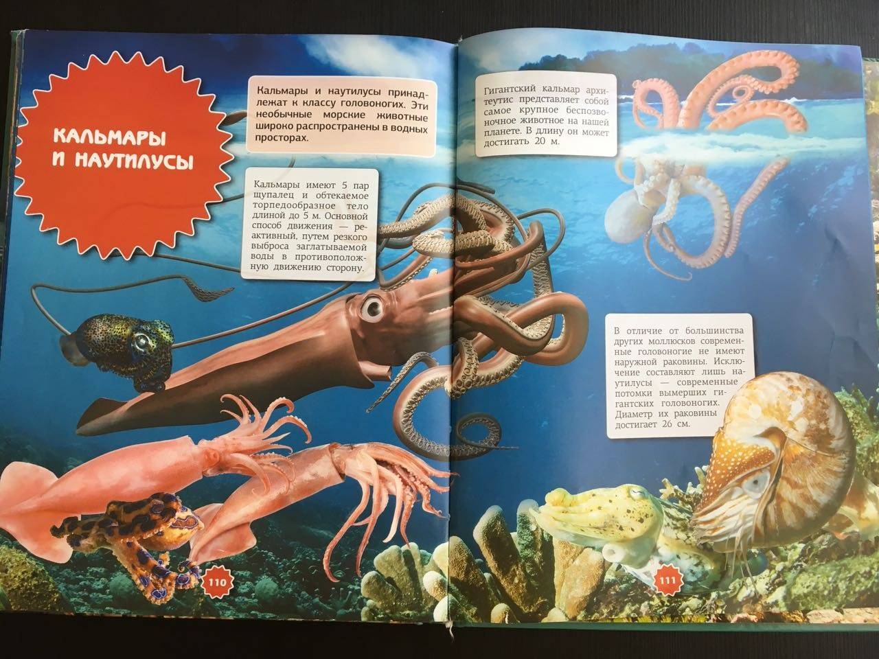 Иллюстрация 19 из 21 для Подводный мир - Ликсо, Третьякова | Лабиринт - книги. Источник: Ольга Тон