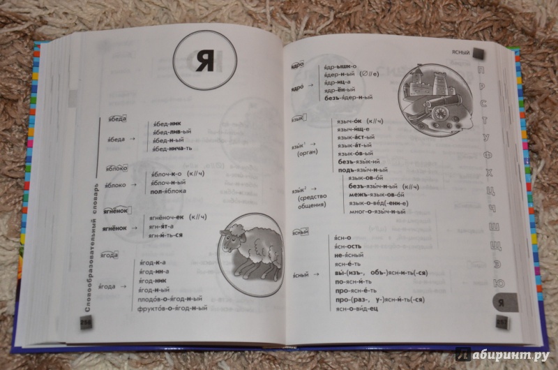 Иллюстрация 17 из 36 для Универсальный словарь школьника. 1-4 классы | Лабиринт - книги. Источник: Хранительница книг