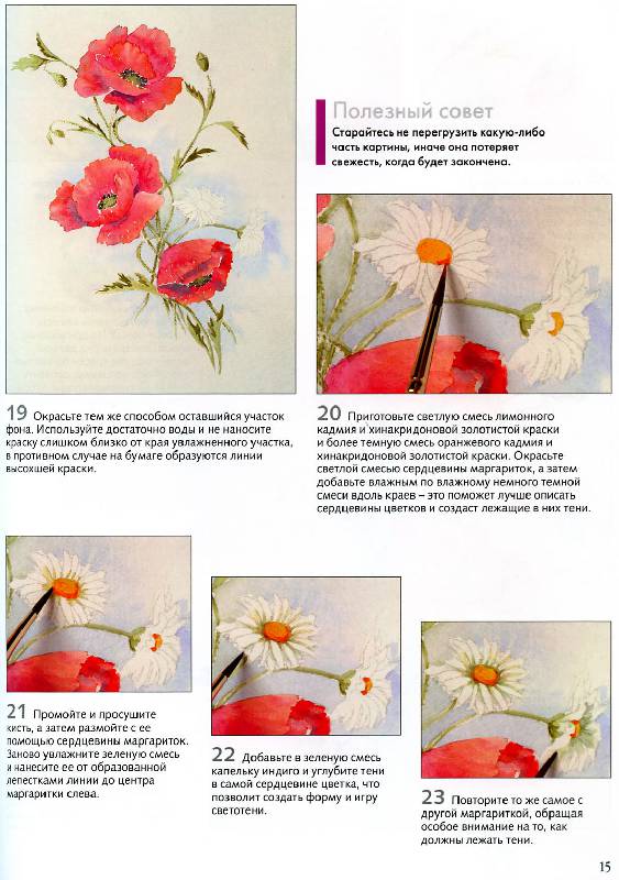 Иллюстрация 19 из 22 для Рисуем по схемам. Цветы. Акварель - Венди Тэйт | Лабиринт - книги. Источник: Росинка
