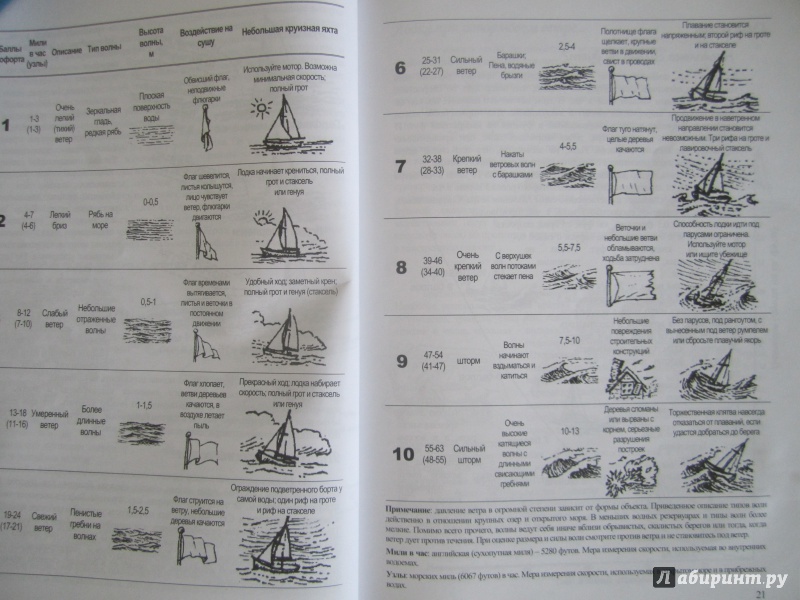 Иллюстрация 7 из 13 для Хождение на парусной яхте для детей и взрослых - Дэвид Сейдман | Лабиринт - книги. Источник: Усикова  Екатерина