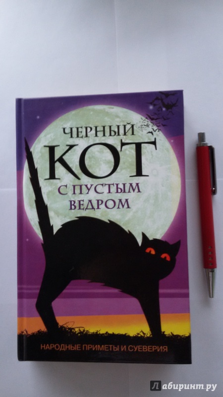 Иллюстрация 2 из 15 для Черный кот с пустым ведром. Народные приметы и суеверия | Лабиринт - книги. Источник: ТанюшаК