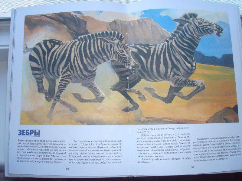 Иллюстрация 24 из 37 для Энциклопедия животных | Лабиринт - книги. Источник: Innelli