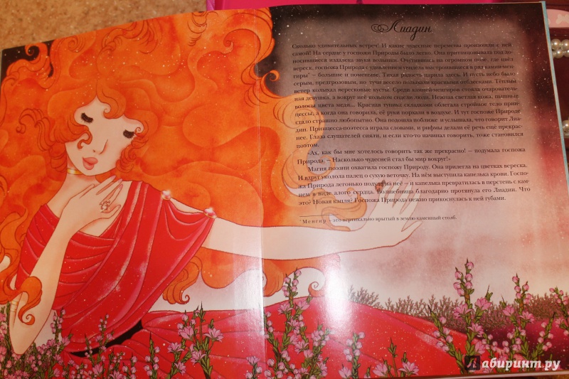 Иллюстрация 9 из 15 для Двенадцать волшебных принцесс (в подарочной коробке) | Лабиринт - книги. Источник: Шульгина  Анастасия Сергеевна