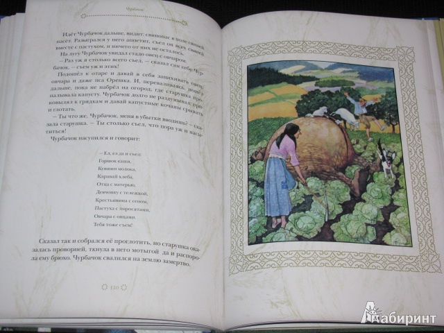 Иллюстрация 49 из 58 для Чешские волшебные сказки. Златовласка - Яромир Карел | Лабиринт - книги. Источник: Nemertona