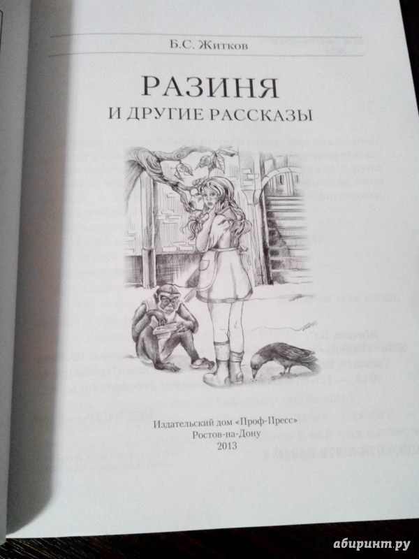 Иллюстрация 10 из 19 для Разиня и другие рассказы - Борис Житков | Лабиринт - книги. Источник: Хранительница книг