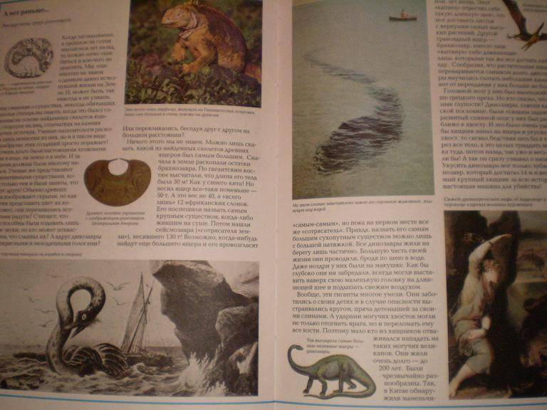 Иллюстрация 8 из 38 для Чудеса природы. Животный мир - Виктор Калашников | Лабиринт - книги. Источник: Ирина