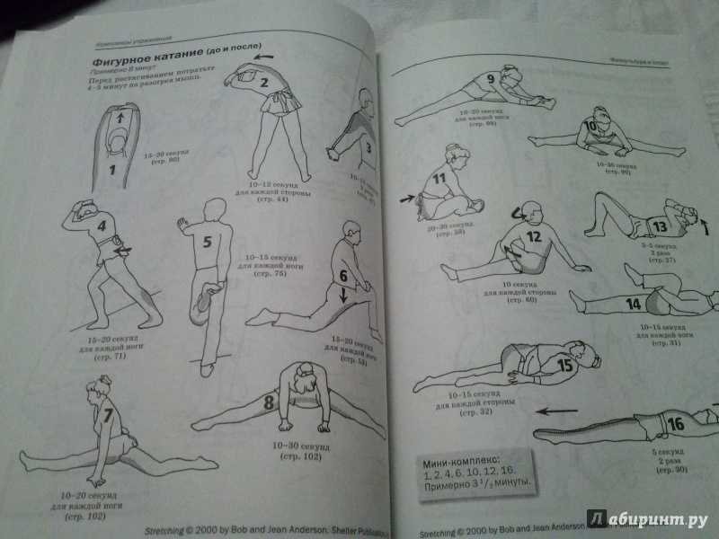 Иллюстрация 13 из 17 для Растяжка для поддержания гибкости мышц и суставов - Боб Андерсон | Лабиринт - книги. Источник: Анна