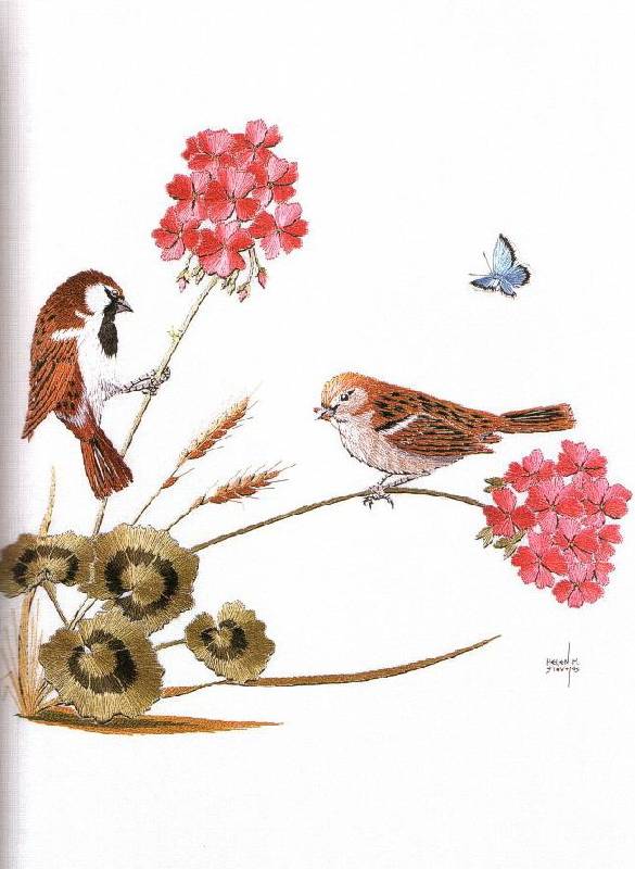 Иллюстрация 28 из 33 для Птицы. Практическое руководство - Хелен Стивенс | Лабиринт - книги. Источник: Юта