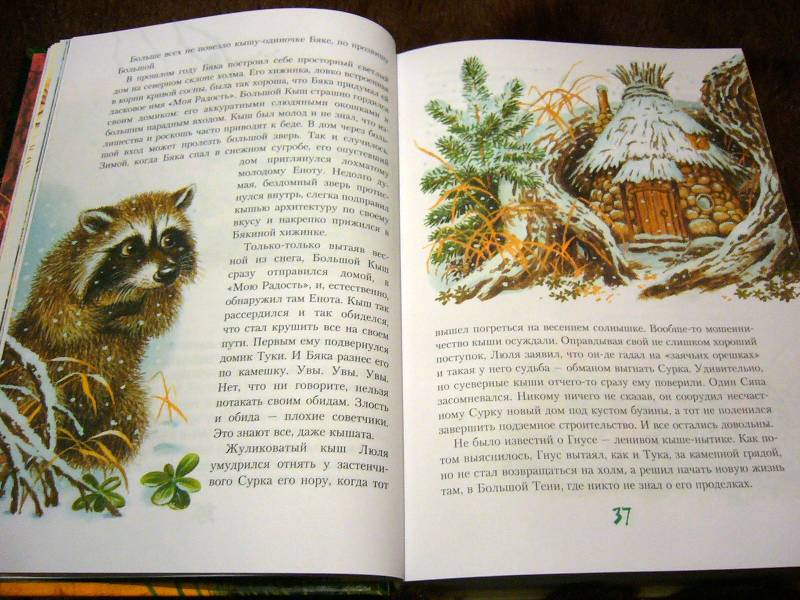 Иллюстрация 56 из 82 для Большой Кыш: Сказка - Мила Блинова | Лабиринт - книги. Источник: Nika