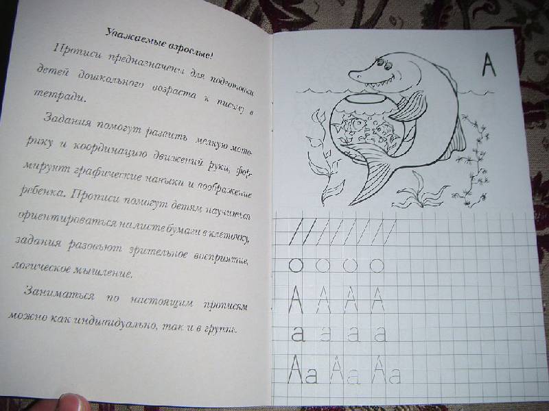 Иллюстрация 1 из 6 для Прописи: Знакомимся с буквами | Лабиринт - книги. Источник: Iwolga