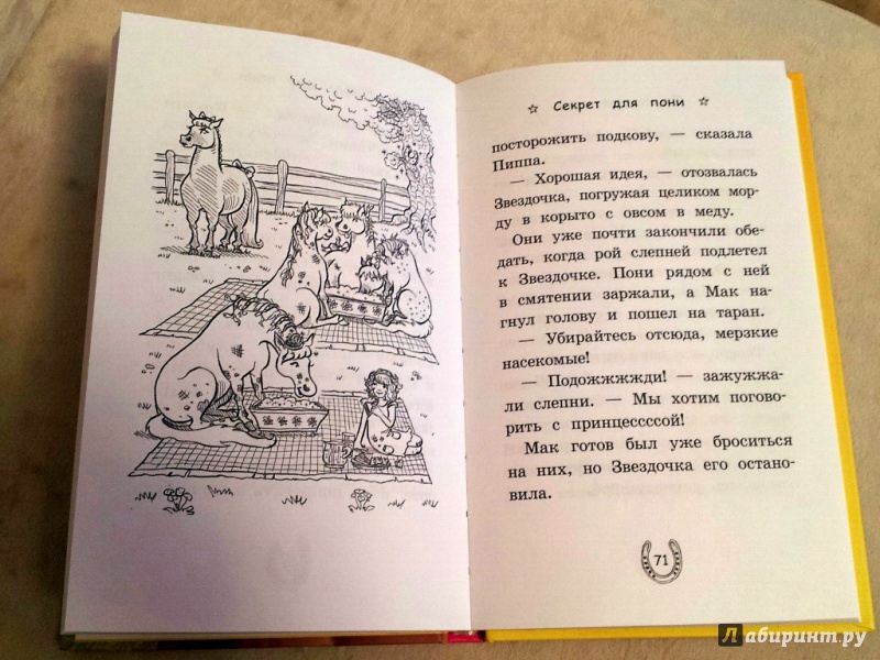 Иллюстрация 4 из 19 для Секрет для пони - Хлое Райдер | Лабиринт - книги. Источник: Заводских  Наталья