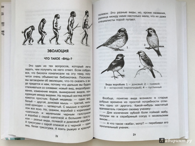 Иллюстрация 13 из 29 для Нескучная биология - Алексей Целлариус | Лабиринт - книги. Источник: Лабиринт