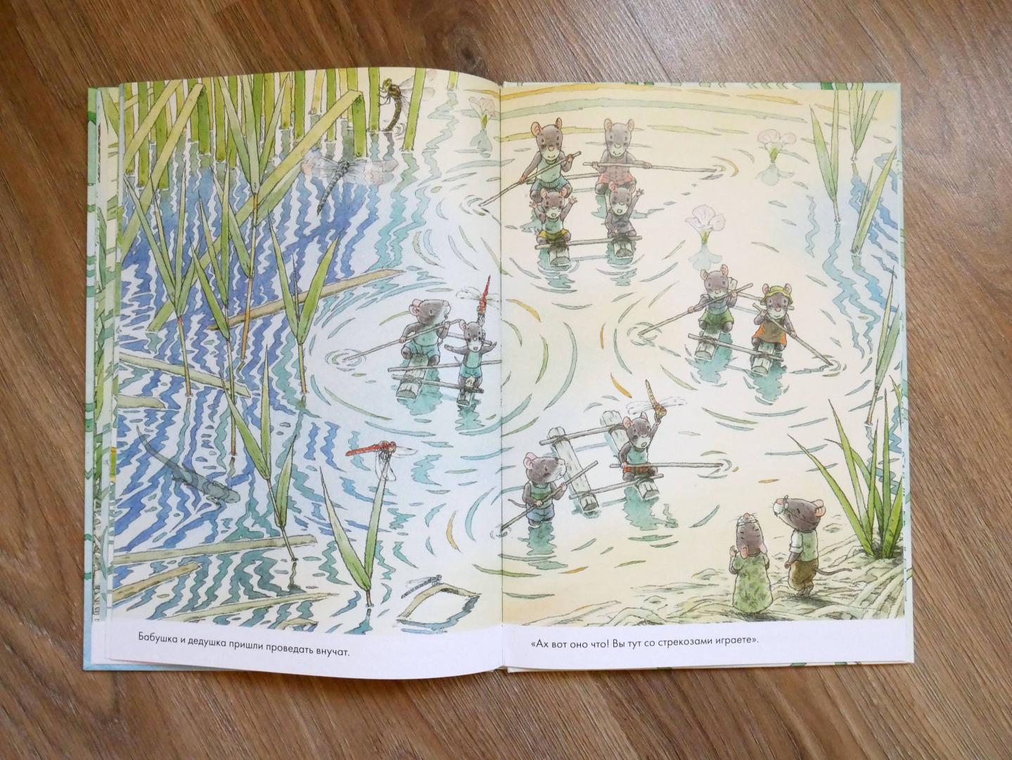 Иллюстрация 32 из 40 для 14 лесных мышей. Стрекозиный пруд - Кадзуо Ивамура | Лабиринт - книги. Источник: Чижова  Анна