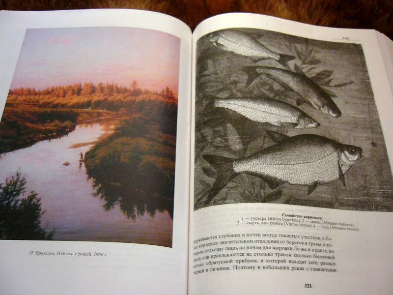 Иллюстрация 20 из 34 для Жизнь и ловля пресноводных рыб - Леонид Сабанеев | Лабиринт - книги. Источник: Nika