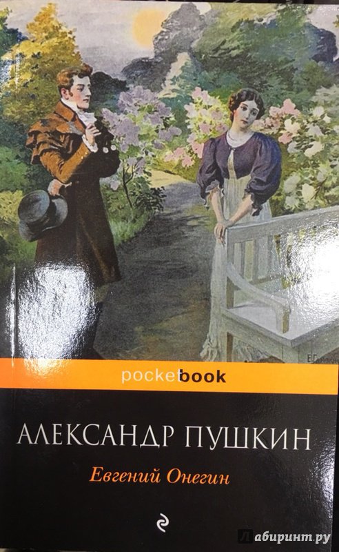 Иллюстрация 28 из 37 для Евгений Онегин - Александр Пушкин | Лабиринт - книги. Источник: Lina