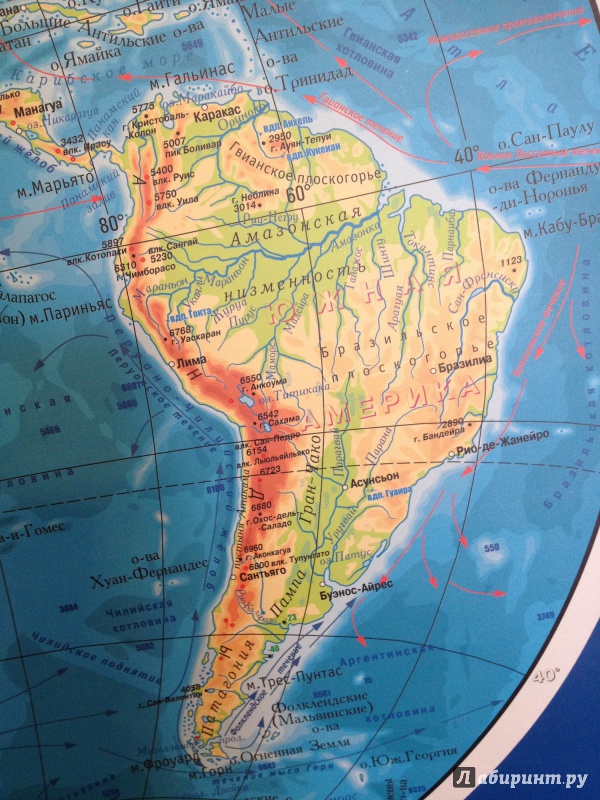 Иллюстрация 6 из 6 для Физическая карта мира. Карта полушарий. Мелованный картон | Лабиринт - книги. Источник: Евгения Анатольевна